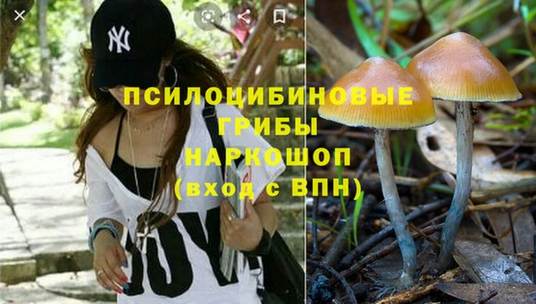 бошки Верея