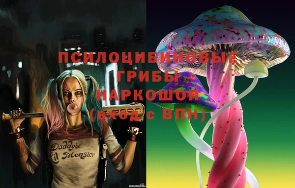 бошки Верея
