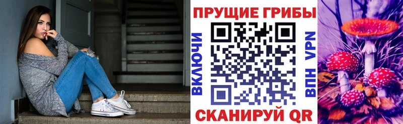 что такое наркотик  Афипский  Псилоцибиновые грибы мицелий 